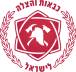FireDepIsrael 1